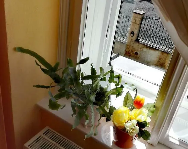 Frank Mariánské Lázně